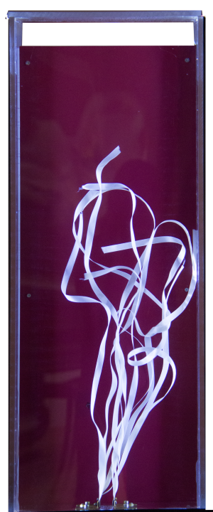 Versuchsstation Seegras | unverkäuflich