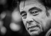 Benicio del Toro