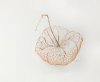 Physalis | Kapstachelbeere